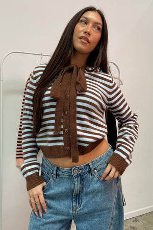 Kaile Blue and Brown Stripe Button Up Hoodie