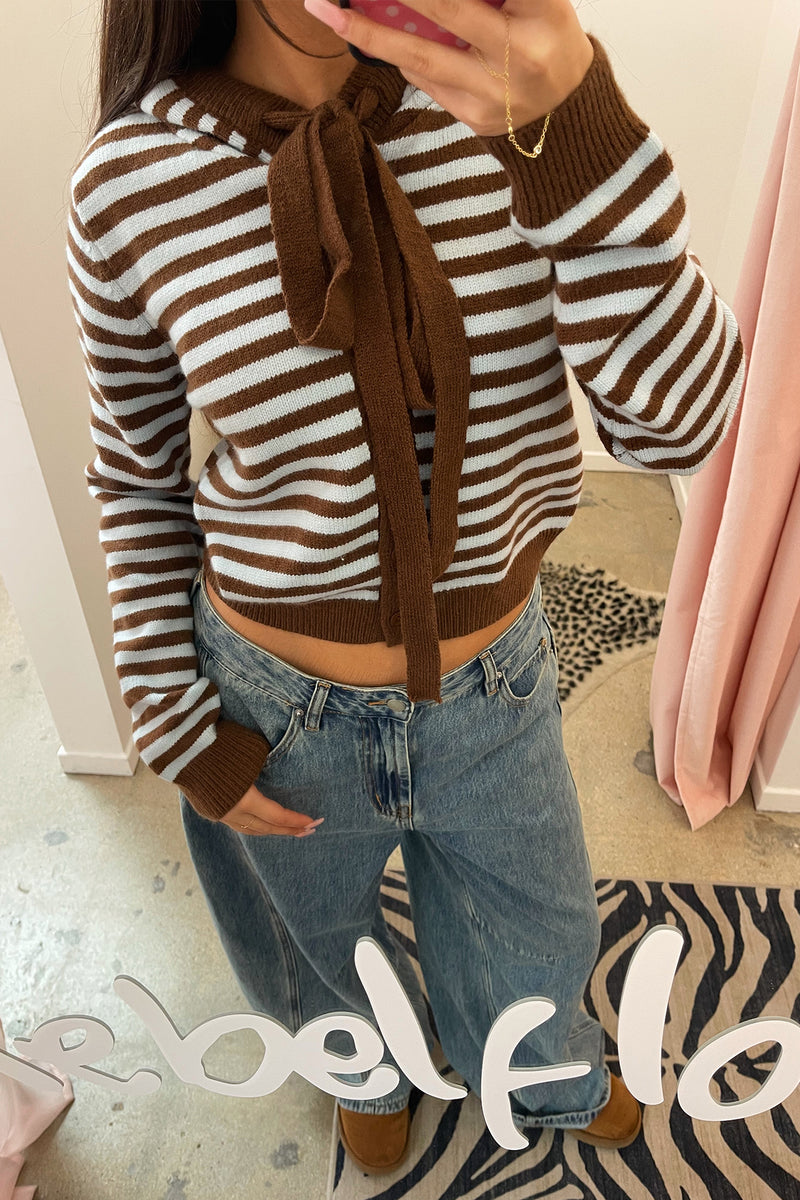 Kaile Blue and Brown Stripe Button Up Hoodie