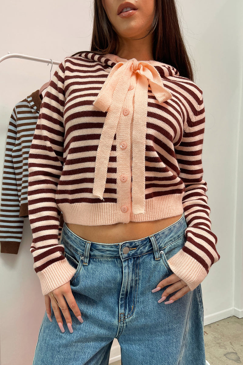 Kaile Pink and Burgundy Stripe Button Up Hoodie