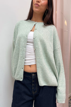 Collins Mint Plush Button Up Cardigan